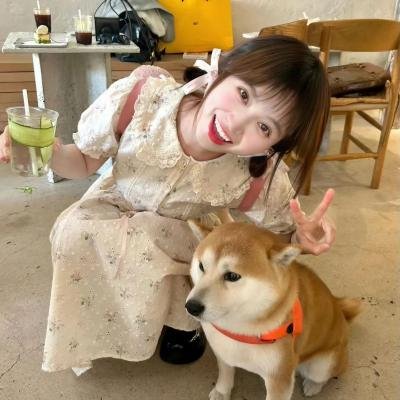 轻音少女 剧场版 粤语